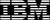 Logo IBM