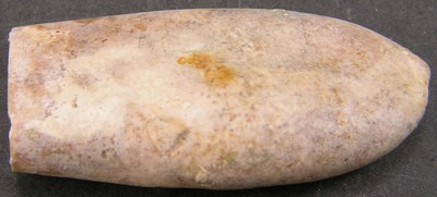 Duvalia dilatata