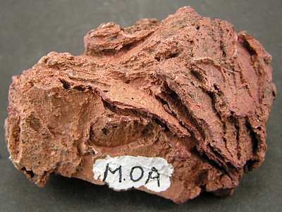 Stromatolithes