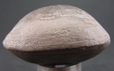 Fossile à identifier