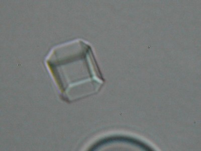 Cristaux de sucre glacee