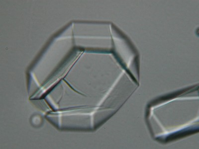 Cristaux de sucre glace