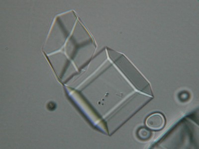 Cristaux de sucre glacee