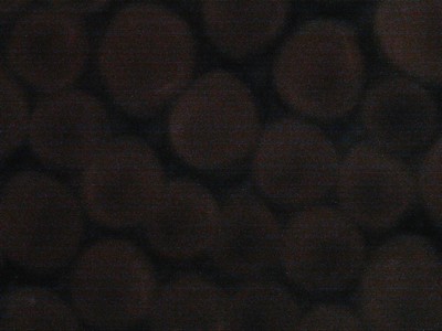 Pétale de Géranium (fleur)